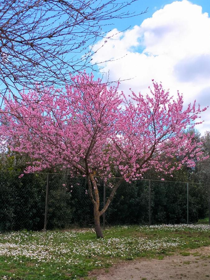 Agriturismo Lungo Albegna Manciano Esterno foto