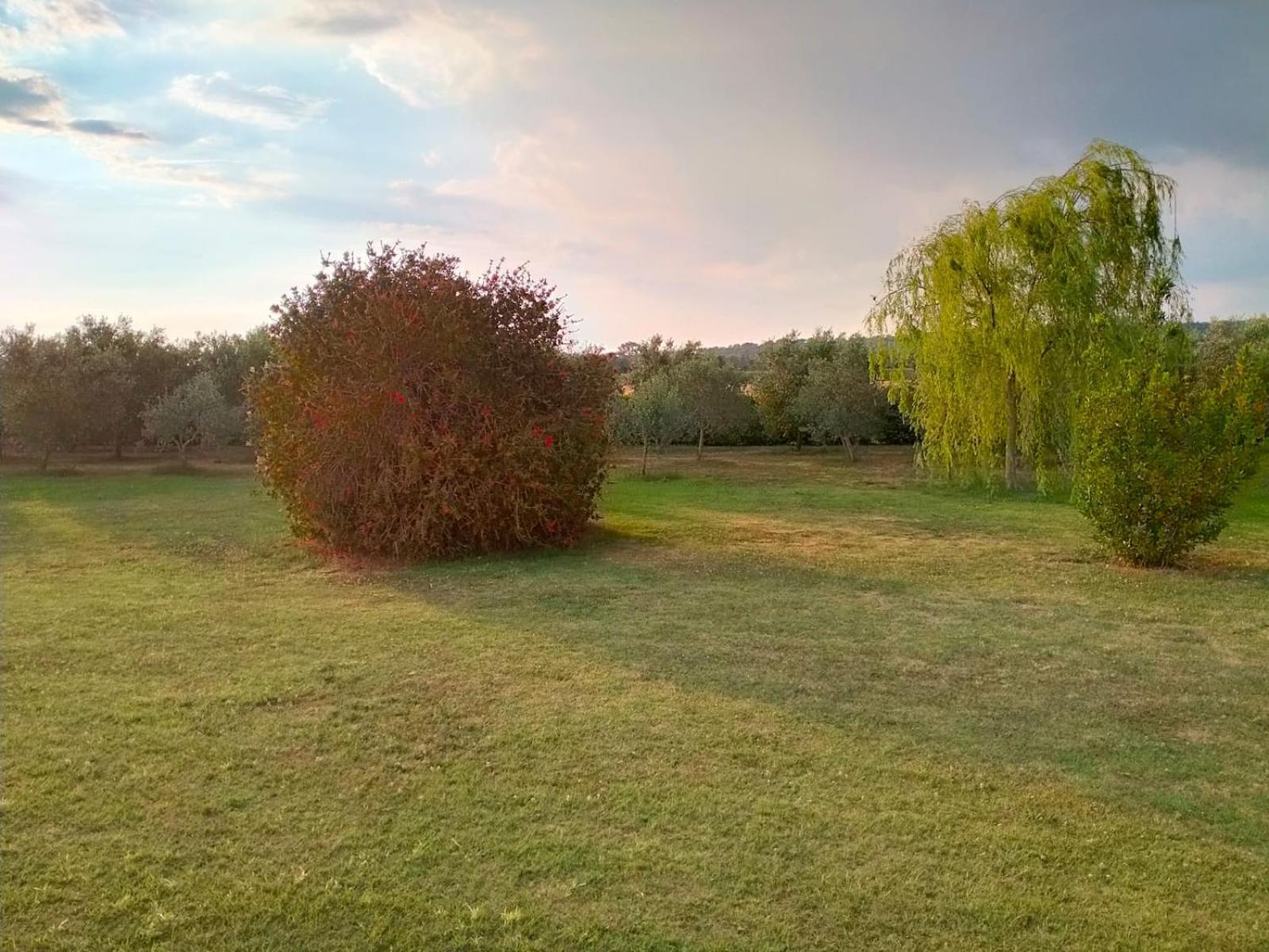 Agriturismo Lungo Albegna Manciano Esterno foto