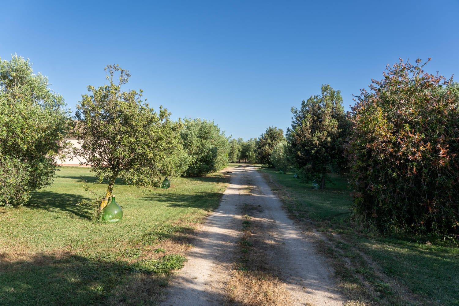 Agriturismo Lungo Albegna Manciano Esterno foto
